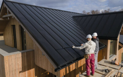Roof Maintenance
